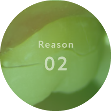 Reason01
